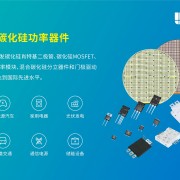 世輝電子(香港)有限<span id=